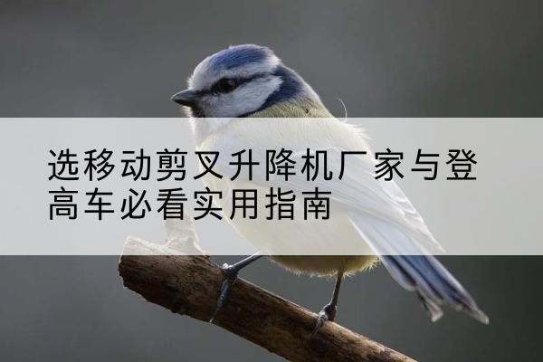 徐水电动升降机厂家-选移动剪叉升降机厂家与登高车必看实用指南