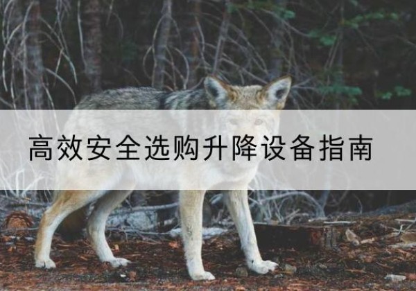 徐水升降货梯厂家推荐-*安全选购升降设备指南