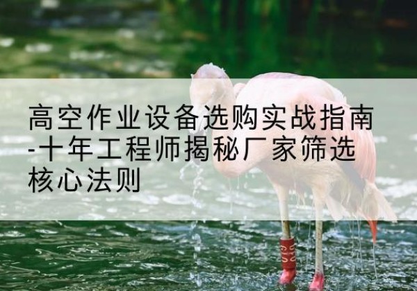 徐水剪叉式升降机厂家-高空作业设备选购实战指南-十年工程师揭秘厂家筛选核心法则